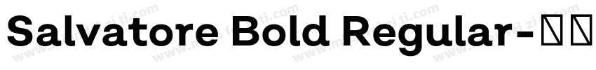 Salvatore Bold Regular字体转换